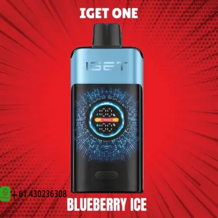 IGET One Blueberry Ice 12000 puffs