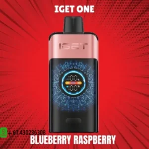 IGET One Blueberry Raspberry 12000 puffs