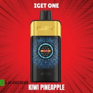 IGET One Kiwi Pineapple 12000 puffs